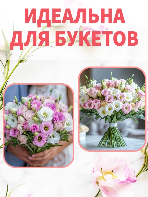 Набор Семена цветов эустомы махровой лизиантус