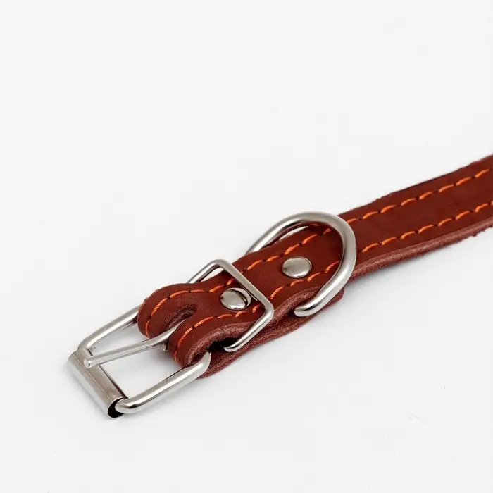 Ошейник кожаный однослойный безразмерный, 45&times;2 см, ОШ 18-39 см, коричневый