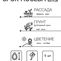Семена цветов Петуния "Е3 Изи Вейв Вайт F1", 5 шт