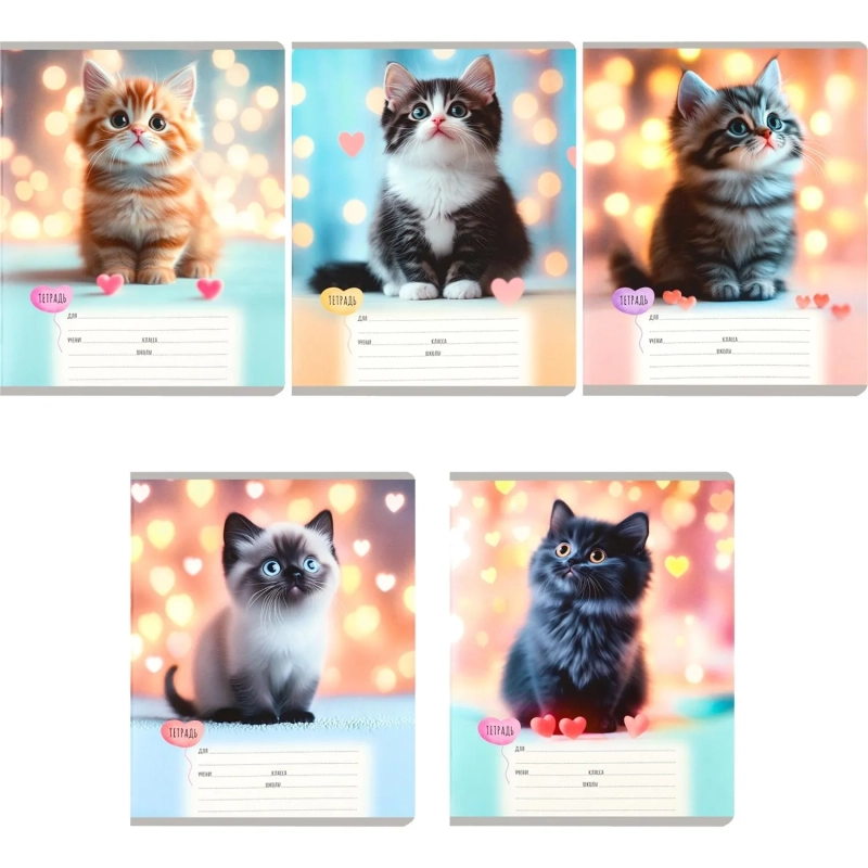 Тетрадь КЛЕТКА 12л. МИЛЫЕ КОТЯТА - 7  цвет. мелов.обл., асоорти 12-0912