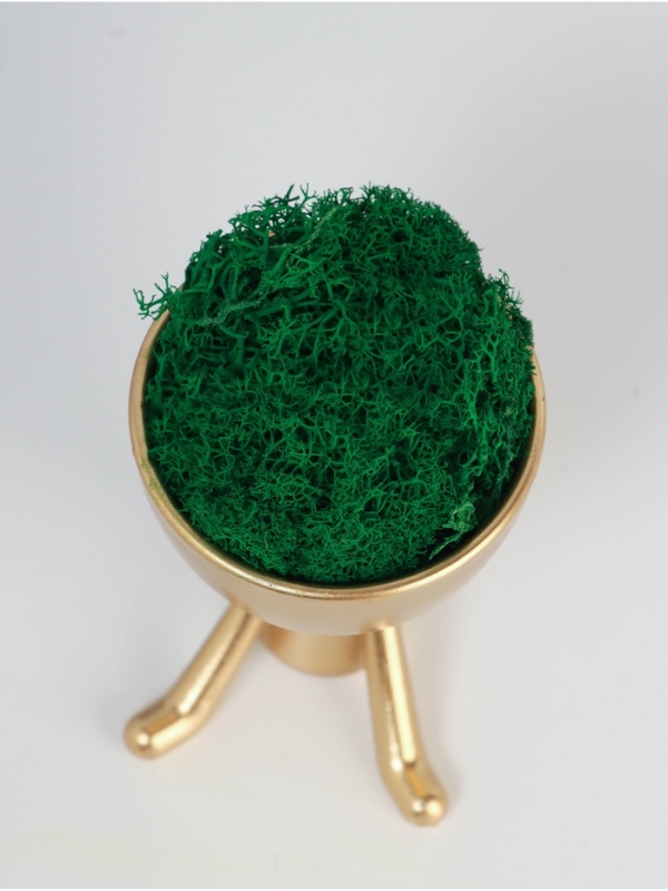 Кашпо пластиковое "Мистер Грин на чиле" 10*10,5*7,3 см золото