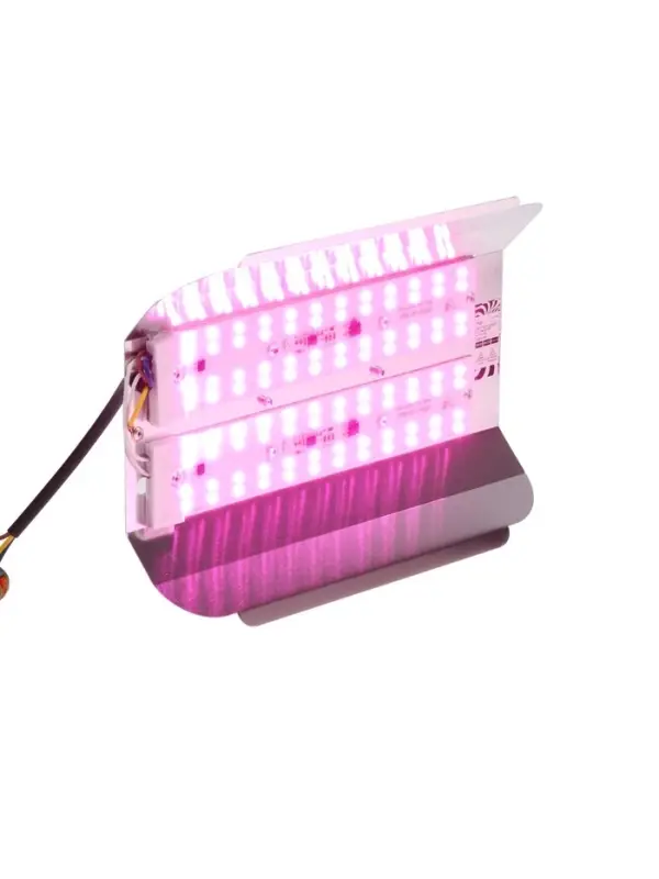 Фитопрожектор для растений Luazon Lighting СДО09-100, светодиодный, 100 Вт, IP65, 220 В, бескорпусный, мультиспектральный