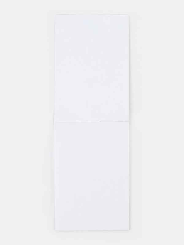 Подарочный набор: блокнот, карандаши (2 шт, ч/г) и значок-дерево Подарочный набор: блокнот, карандаши (2 шт, ч/г) и значок-дерево "8 марта. С праздником весны" 106