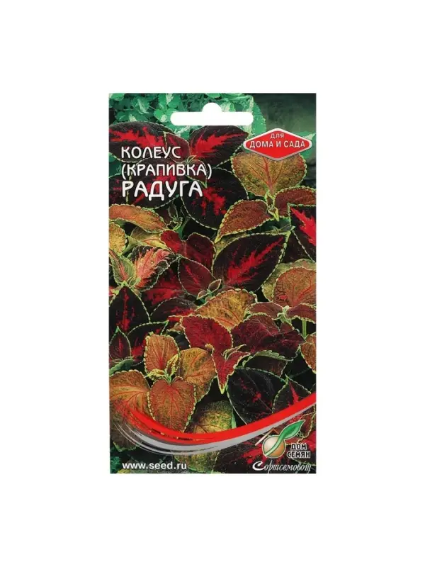 Семена комнатных цветов Колеус  Семена комнатных цветов Колеус "Блюма Радуга", 130 шт.
