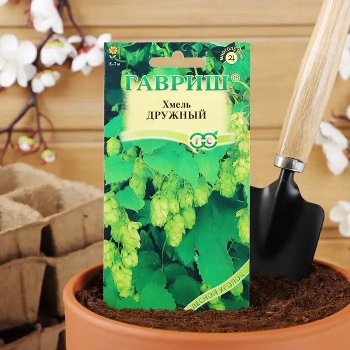 Семена цветов Хмель  Семена цветов Хмель "Дружный", ц/п,  0,1 г