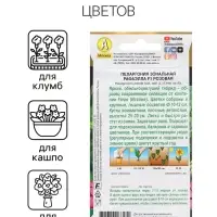 Семена цветов Пеларгония "Рафаэлла", розовая, 5 шт, F1,