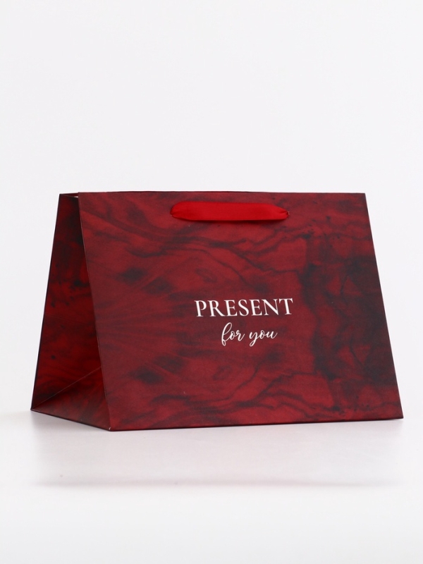 Пакет подарочный с широким дном,"Present", 25 × 19 × 18 см