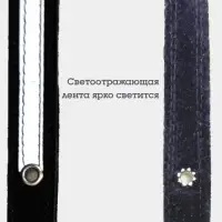Ошейник, 35&times;1.5 см, с подкладом и светоотражающей лентой, кожа, чёрный