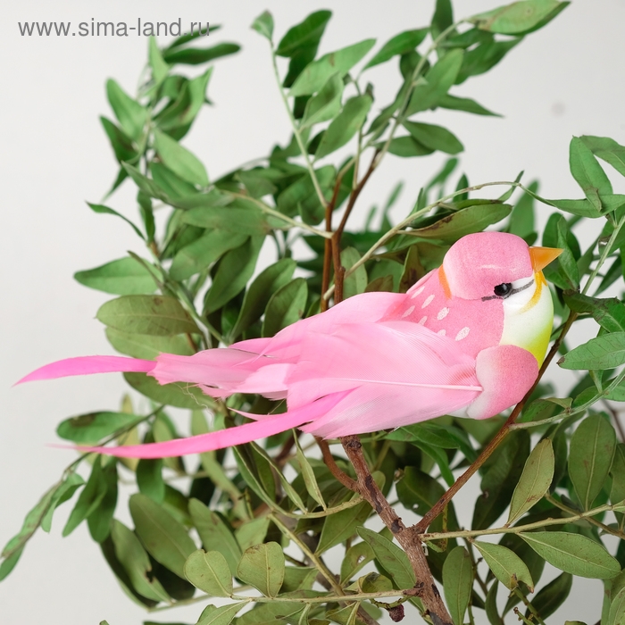 Птичка для декора и флористики, на прищепке, МИКС, пластиковая, 1шт., 8 х 8 см Птичка для декора и флористики, на прищепке, МИКС, пластиковая, 1шт., 8 х 8 см