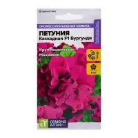 Набор семян Петуния "Бургунди Каскадная" махровая F1, О, , 3 шт. Набор семян Петуния "Бургунди Каскадная" махровая F1, О, , 3 шт.