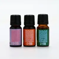 Эфирное масло «С новым годом», 3 шт х 10 мл, Банный Дух Эфирное масло «С новым годом», 3 шт х 10 мл, Банный Дух