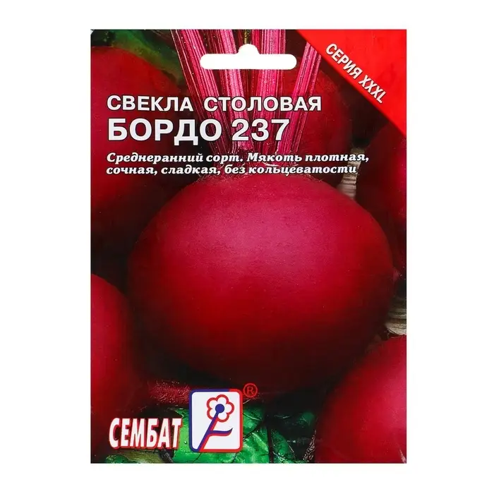 Семена Свекла &laquo;Бордо 237&raquo;, XXXL, &laquo;Сембат&raquo;, 7 г