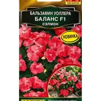 Семена цветов Бальзамин Баланс F1 сэлмон С. Hem Genetics Золотая серия, Ц/П,7 шт. Семена цветов Бальзамин Баланс F1 сэлмон С. Hem Genetics Золотая серия, Ц/П,7 шт.