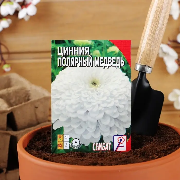 Семена цветов Цинния &laquo;Полярный медведь&raquo;, 0.3 г