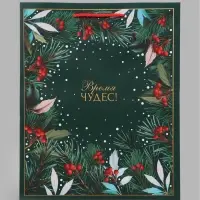 Пакет подарочный &laquo;Время чудес!&raquo;, 26&times;12&times;32 см