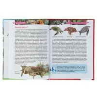 Детская энциклопедия &laquo;Красная книга&raquo;