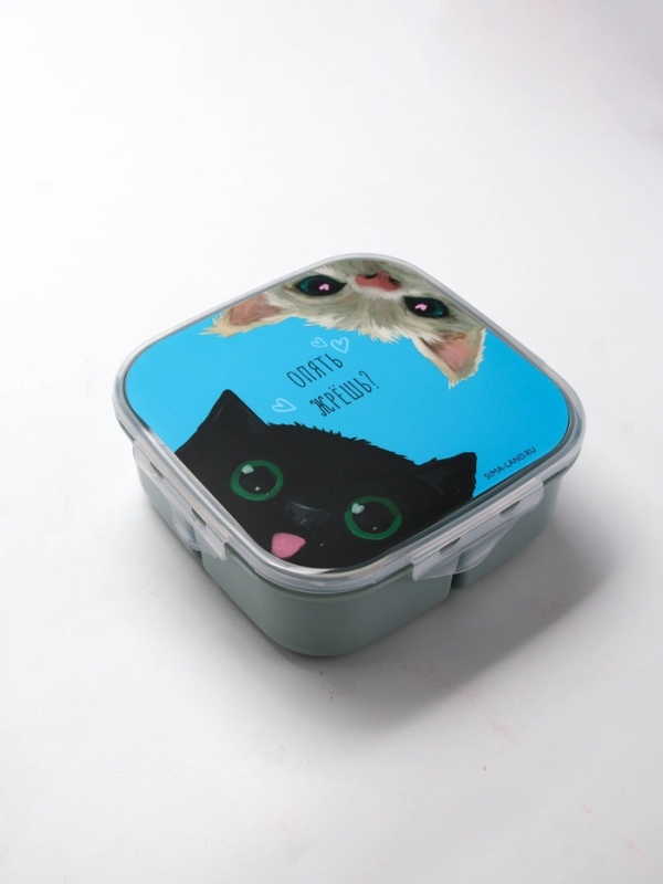 Ланч - бокс с секциями и ложкой «Коты», 17,8 х 17,8 х 7 см
