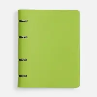 Ежедневник Ringo, недатированный, зеленый Ежедневник Ringo, недатированный, зеленый