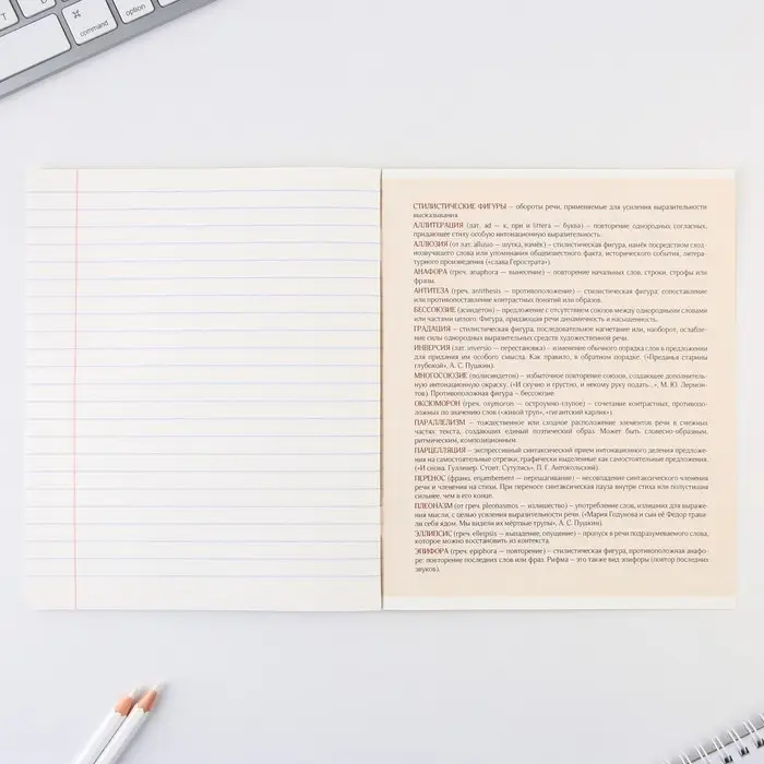 Тетрадь в линейку, предметная, 48 л.,на скрепке, А5 &laquo;КОТ. Литература&raquo;