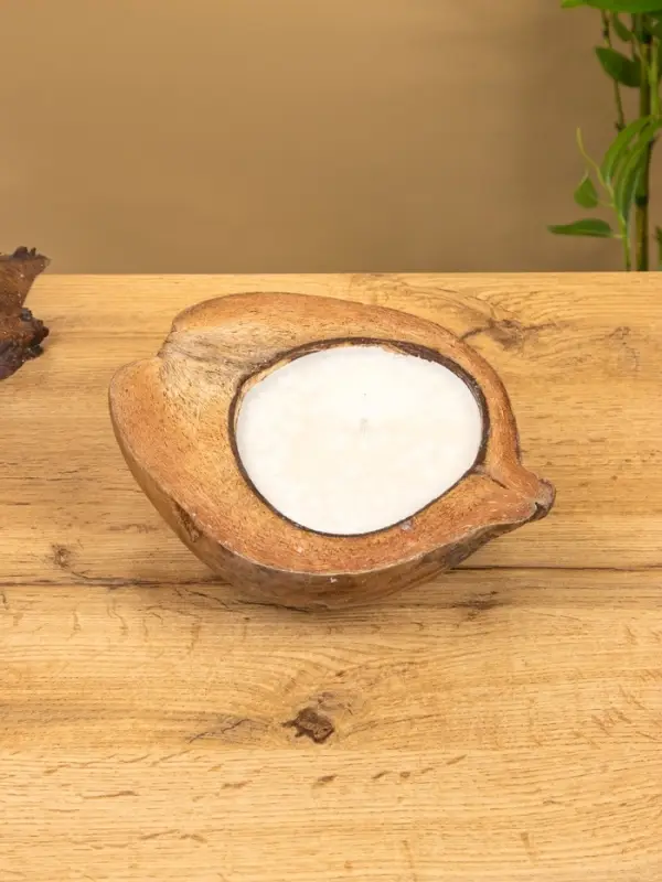 Свеча в кокосе, 18×22×7 см, коричневая