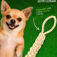 Игрушка для собак канатная, до 23 см, до 55 г, плетеная с ручкой