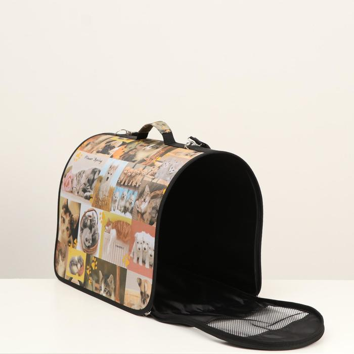 Сумка - переноска для животных с принтом, 49 х 30 х 35 см микс Сумка - переноска для животных с принтом, 49 х 30 х 35 см микс