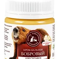 Крем-бальзам бобровый &laquo;Природа кавказского долголетия&raquo;, для суставов, пластик, 40 мл
