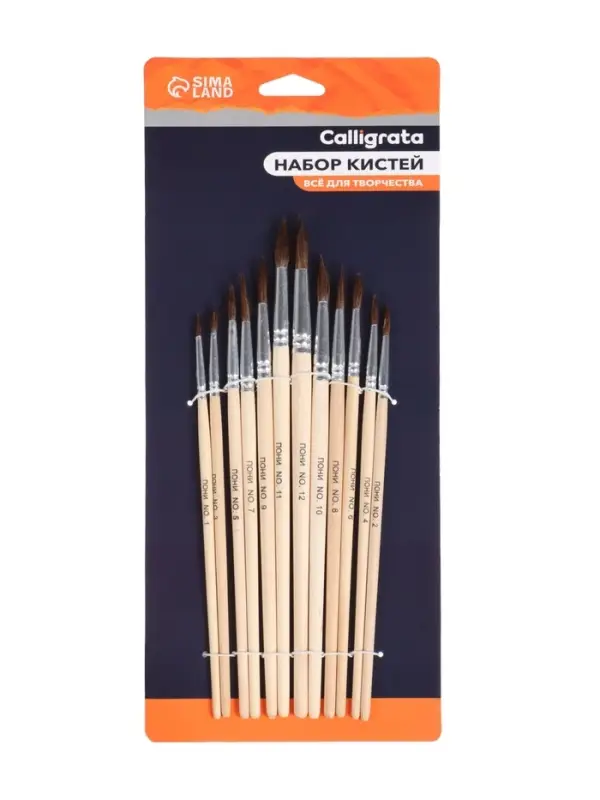 Набор кистей для рисования, пони, 12 штук: № 1, 2, 3, 4, 5, 6, 7, 8, 9, 10, 11, 12, круглые, деревянная ручка, международный размер