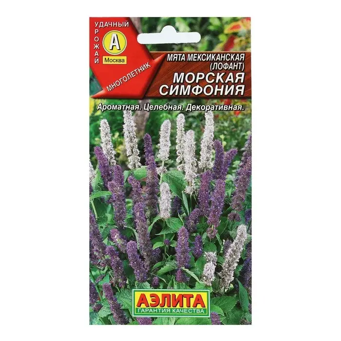 Семена Мята мексиканская  Семена Мята мексиканская "Морская симфония", 0,05 г