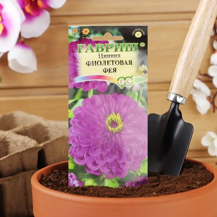 Семена цветов Цинния  Семена цветов Цинния "Фиолетовая фея", ц/п,  0,3 г