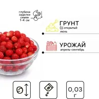 Семена Земляника &laquo;Барон Солемахер&raquo;, ремонтантная, 0.03 г, &laquo;Семена Алтая&raquo;