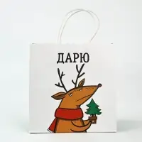 Набор пакетов подарочных &laquo;Новогодний праздник&raquo; 5 шт., 22&times;22&times;11 см