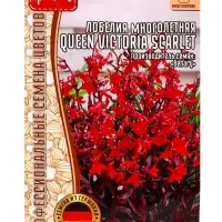 Семена цветов Лобелия Queen Victoria Scarlet многолетняя, 5 драже &laquo;Григорьев&raquo;