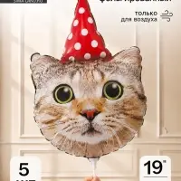 Воздушный шар фольгированный 19" &laquo;Кот в колпаке&raquo; набор 5 штук