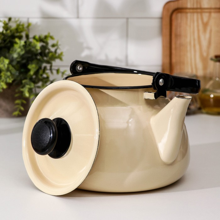 Чайник сферический, 3 л, индукция, цвет слоновая кость Чайник сферический, 3 л, индукция, цвет слоновая кость