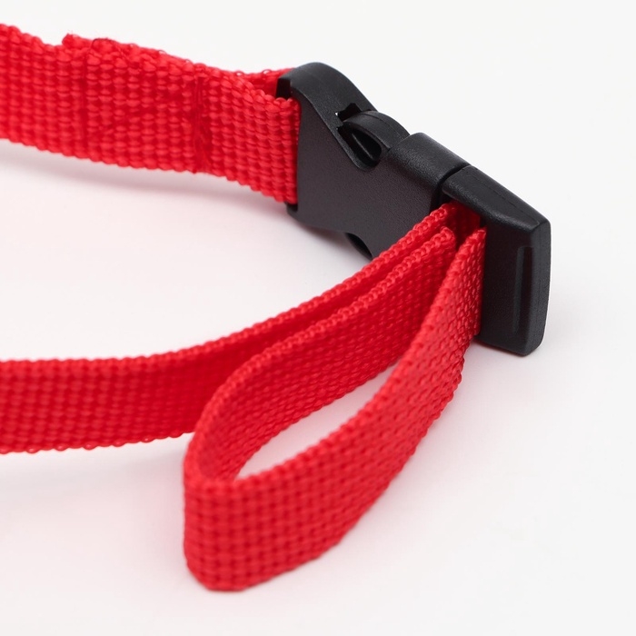 Намордник текстильный, размер 5 (длина по носу 5,5 см, обхват морды 24 см), микс цветов Намордник текстильный, размер 5 (длина по носу 5,5 см, обхват морды 24 см), микс цветов