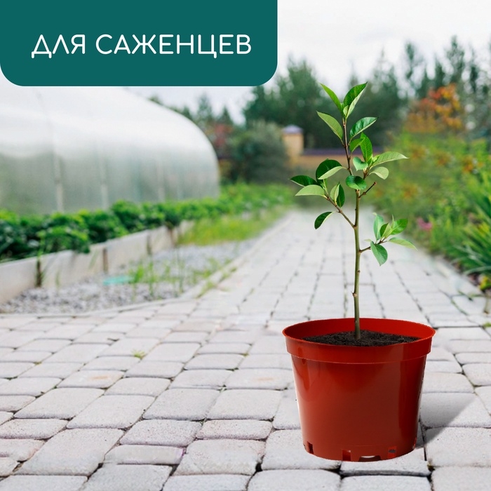 Горшок для рассады, 5 л, d = 22 см, h = 18 см, пластик, терракот, Greengo Горшок для рассады, 5 л, d = 22 см, h = 18 см, пластик, терракот, Greengo