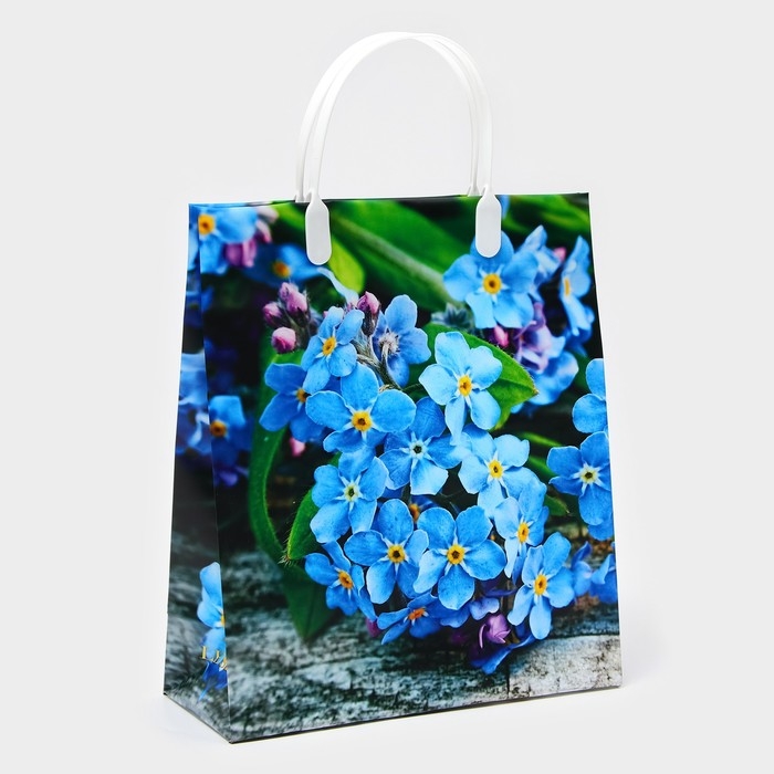 Пакет  Пакет "Незабудка", мягкий пластик,  27 х 23 см, 100 мкм