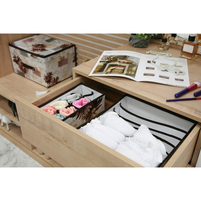 Органайзер для хранения белья Доляна «Астра», 7 ячеек, 34×30,5×10 см, цвет коричневый Органайзер для хранения белья Доляна «Астра», 7 ячеек, 34×30,5×10 см, цвет коричневый