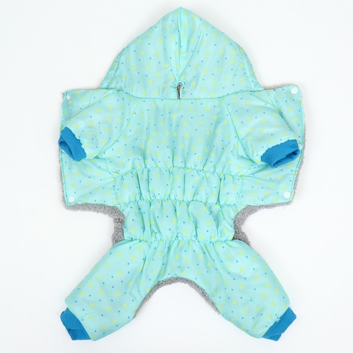 Комбинезон  Комбинезон "нежный путь" на меховом подкладе, размер S  (ДС 25, ОШ 25, ОГ 35 см), голубой