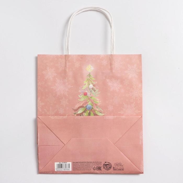 Пакет подарочный новогодний крафтовый «Новогодние сны», 22 х 25 х 12 см, Новый год Пакет подарочный новогодний крафтовый «Новогодние сны», 22 х 25 х 12 см, Новый год