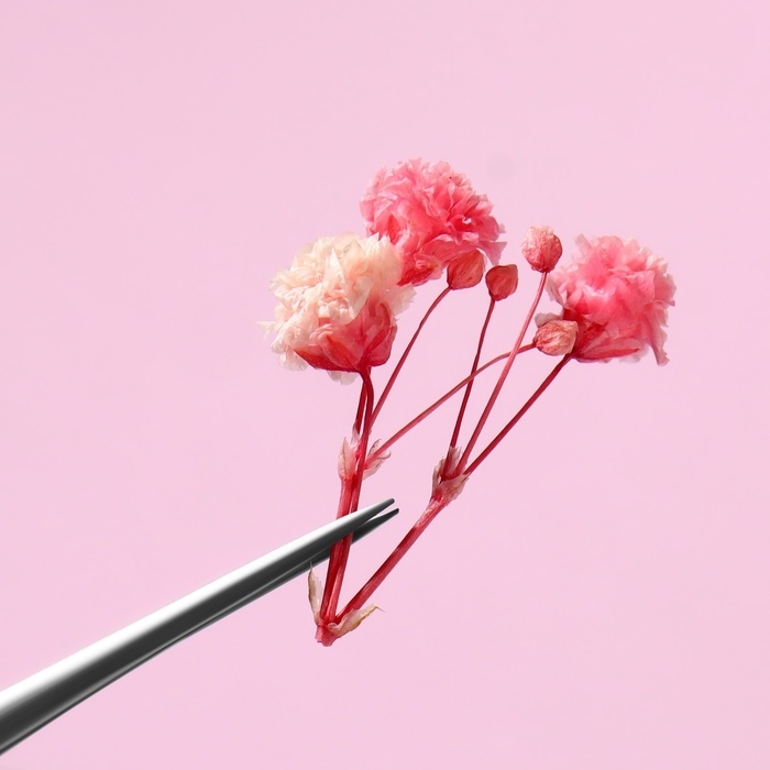 Сухоцветы для декора ногтей «Ассорти», объёмные, 12 видов, в футляре, разноцветные