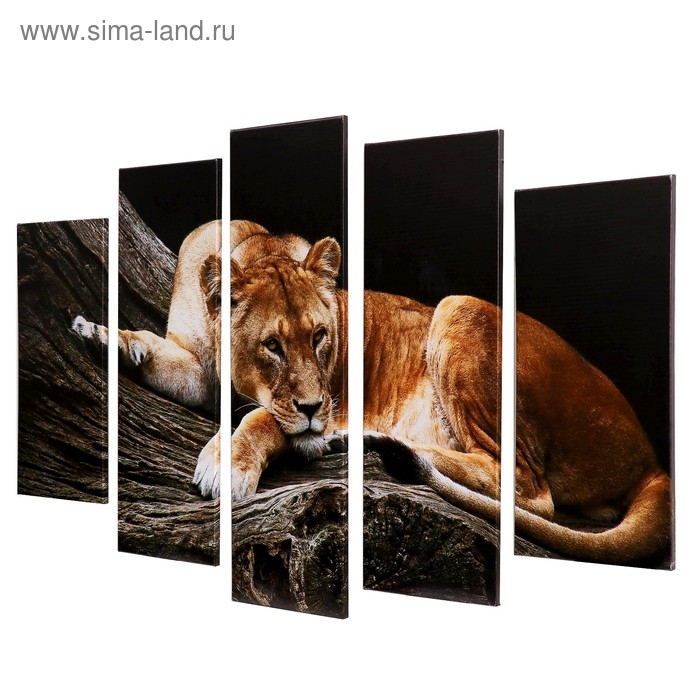 Модульная картина "Львица" (2-23х52; 2-24х70; 1-24х80) 120х80см
