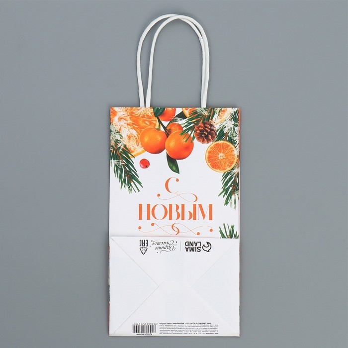 Пакет подарочный новогодний крафтовый «Новогодний цитрус», 12 х 21 х 9 см, Новый год Пакет подарочный новогодний крафтовый «Новогодний цитрус», 12 х 21 х 9 см, Новый год