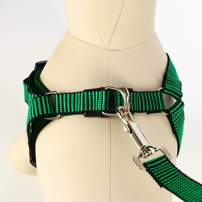 Комплект амуниции рельефный, поводок 120 х 2 см, ОГ 44-50 см, зелёно-чёрный Комплект амуниции рельефный, поводок 120 х 2 см, ОГ 44-50 см, зелёно-чёрный