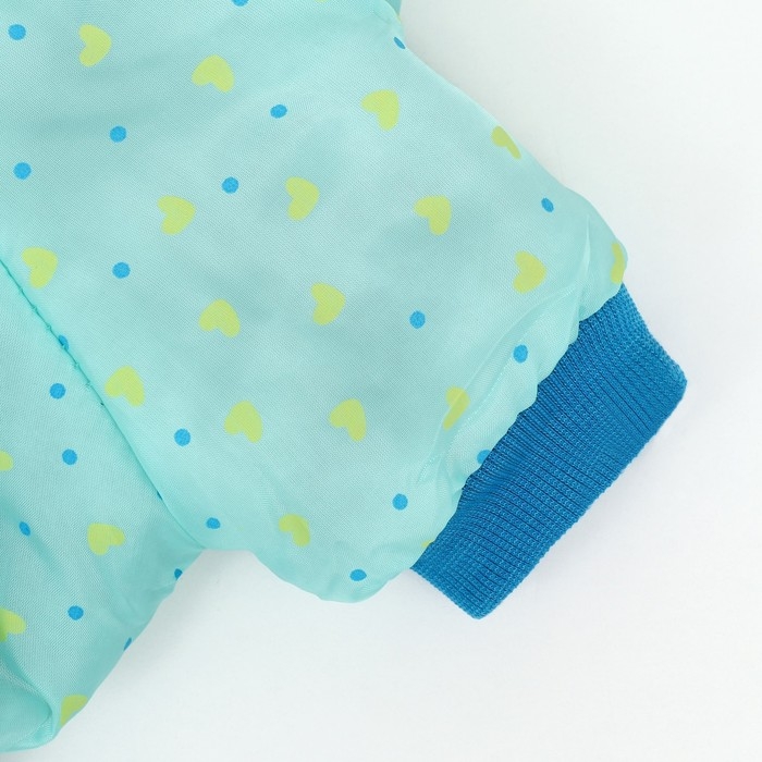 Комбинезон  Комбинезон "нежный путь" на меховом подкладе, размер XXL (ДС 45, ОШ 45, ОГ 55 см), голубой