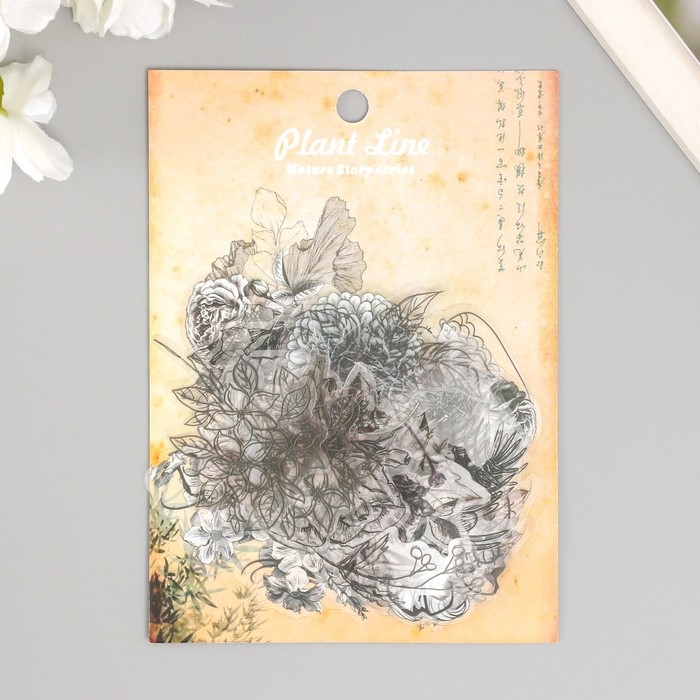 Наклейки для творчества пластик PVC Наклейки для творчества пластик PVC "Эскизы растений" набор 60 шт 10х14 см