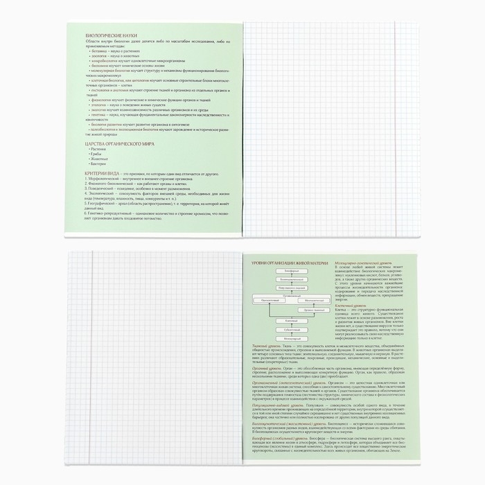 Тетрадь предметная А5, 48 л на скрепке &laquo;1 сентября: Аниме.Биология&raquo; ВД лак