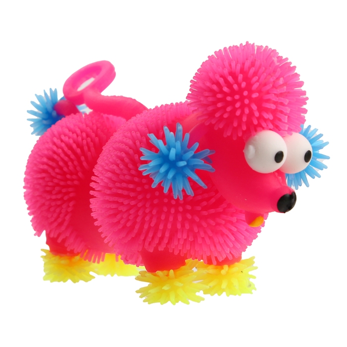 Мяч детский резиновый ёжка световой «Пудель», цвета МИКС , в шоубоксе Мяч детский резиновый ёжка световой «Пудель», цвета МИКС , в шоубоксе