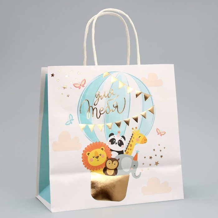 Пакет подарочный, упаковка, «Тебе солнышко», 22 х 22 х 11 см Пакет подарочный, упаковка, «Тебе солнышко», 22 х 22 х 11 см